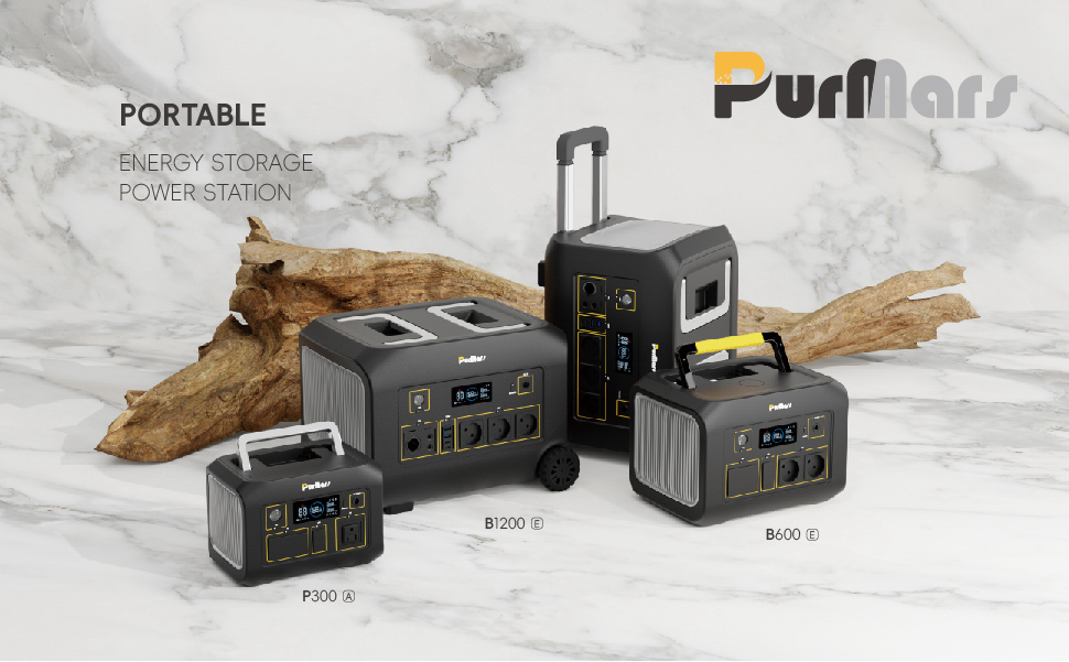 Portable Power Station P600|600W|Wireless Charging