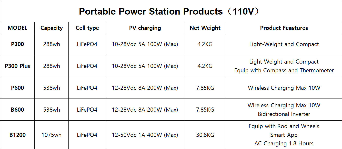 Estación de energía portátil 110V