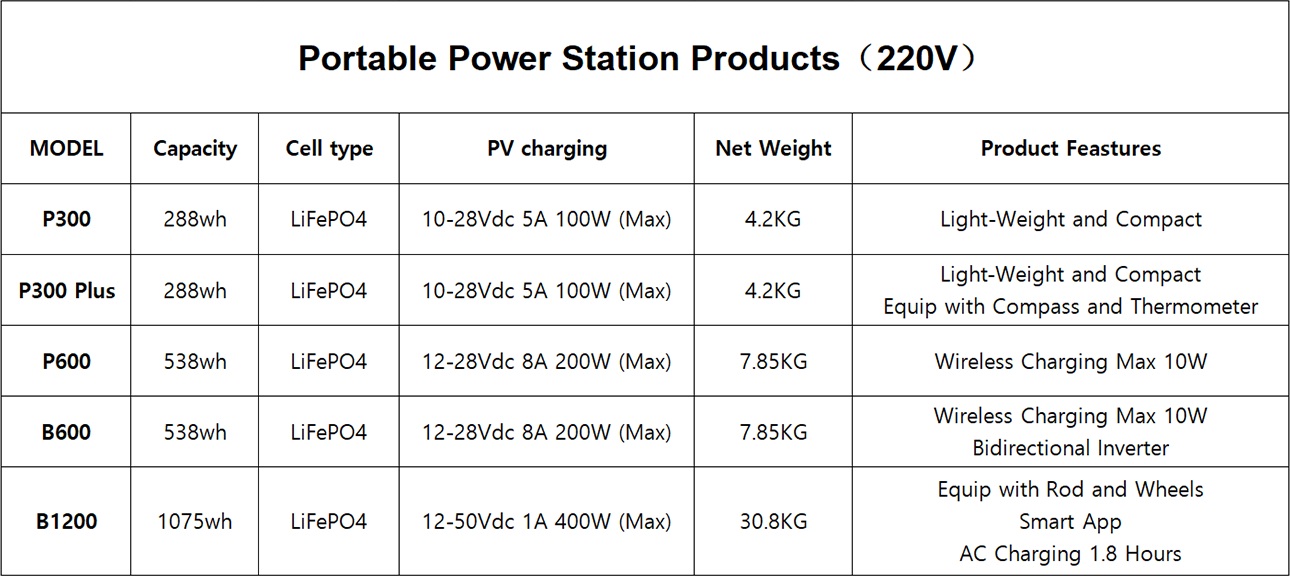 Central eléctrica portátil 220V